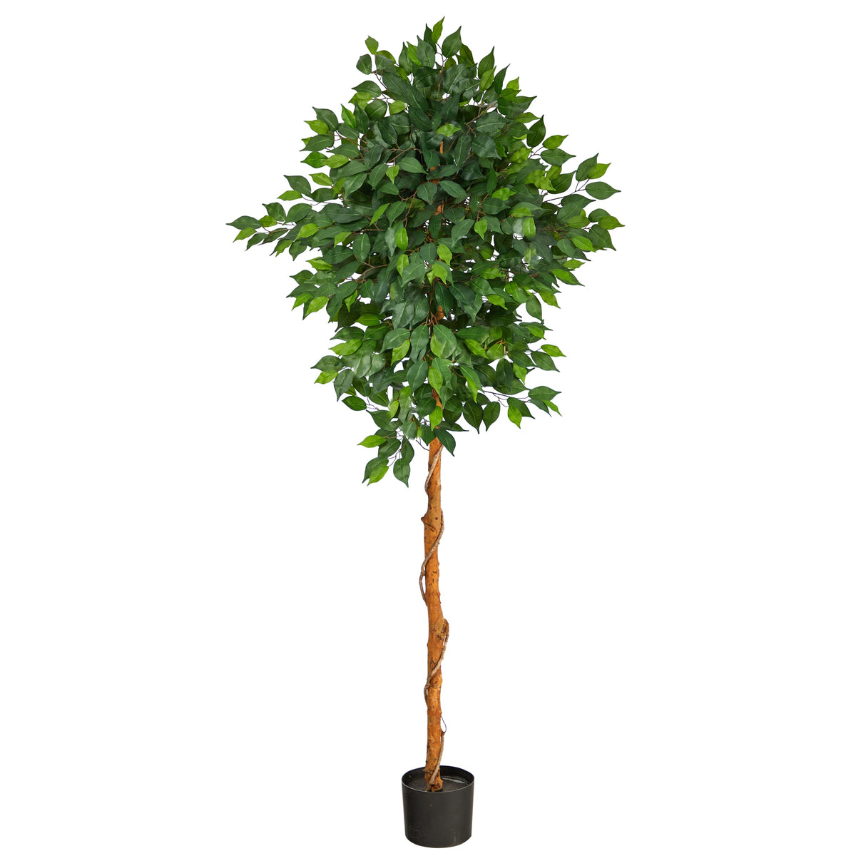 6' Ficus Artificial Tree by Nearly Natural