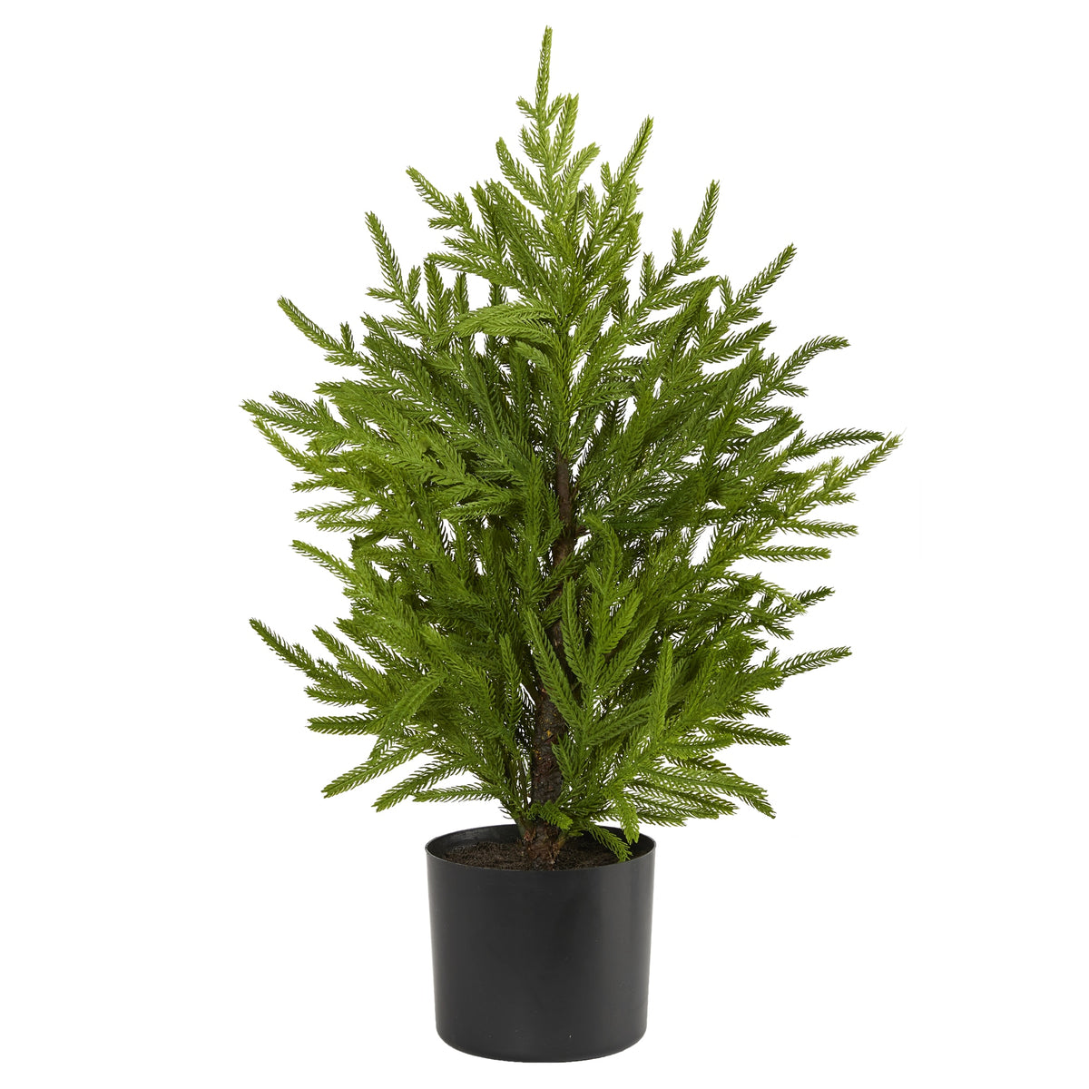 2' Norfolk Island Pine "Natural Look" Tree in Planter by Nearly Natural