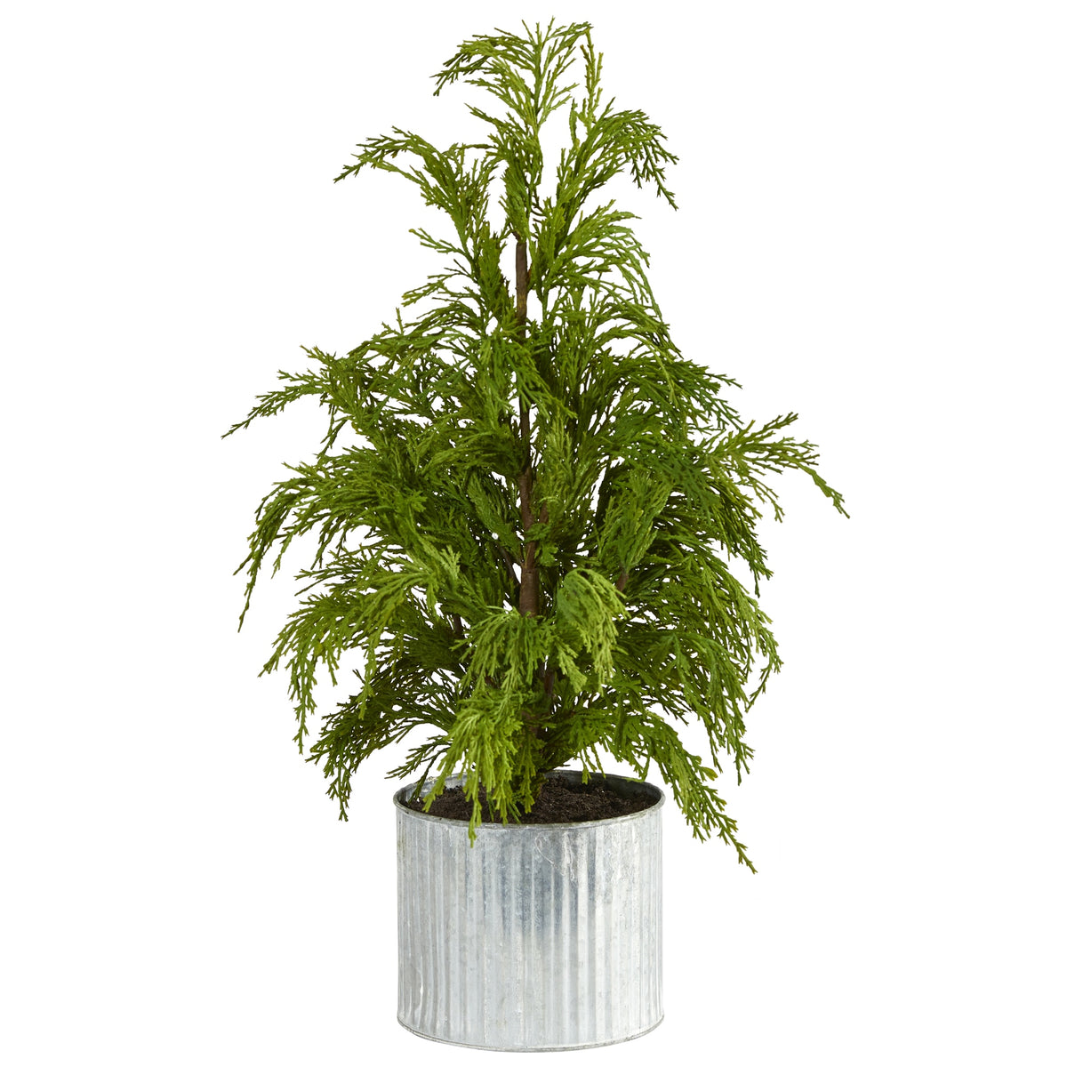 20" Cedar Pine "Natural Look" Tree in Decorative Planter by Nearly Natural