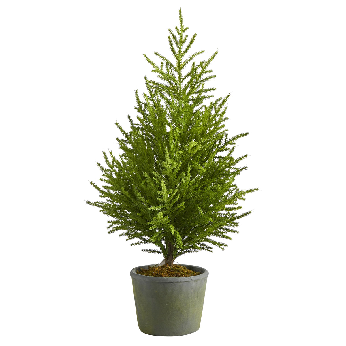 3' Norfolk Island Pine "Natural Look" Tree in Planter by Nearly Natural