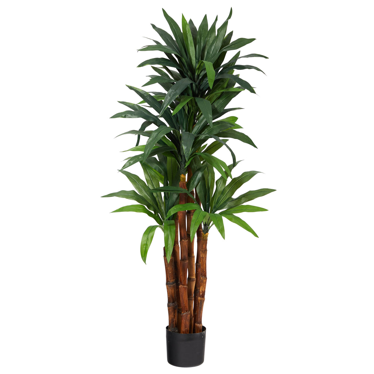 4.5' Dracaena Artificial Tree with Natural Trunk by Nearly Natural
