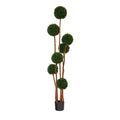 6' Boxwood Tree w/Natural Trunk UV (Indoor/Outdoor) by Nearly Natural