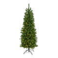 6' Slim Green Mountain Pine Christmas Tree w/250 Clear LEDs by Nearly Natural