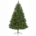 6' Rocky Mountain Mixed Pine Christmas Tree w/300 LED by Nearly Natural