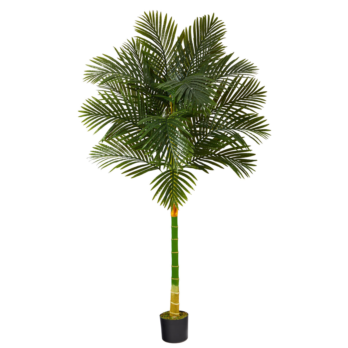 6' Golden Cane Artificial Palm Tree by Nearly Natural