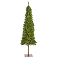 6' Alpine Christmas Tree with 200 Lights and 405 Tips by Nearly Natural