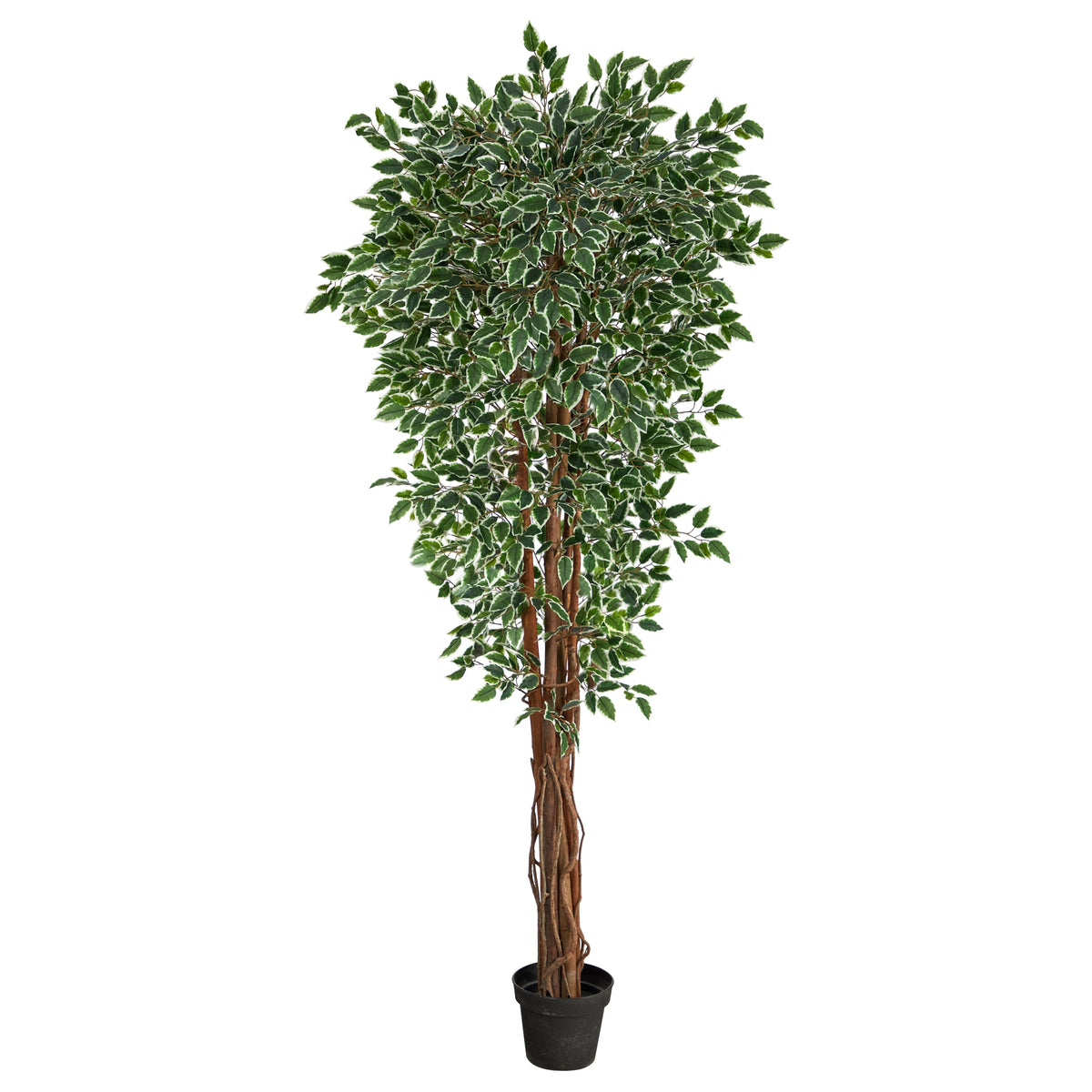 70" Variegated Ficus Tree UV Resistant (Indoor/Outdoor) by Nearly Natural