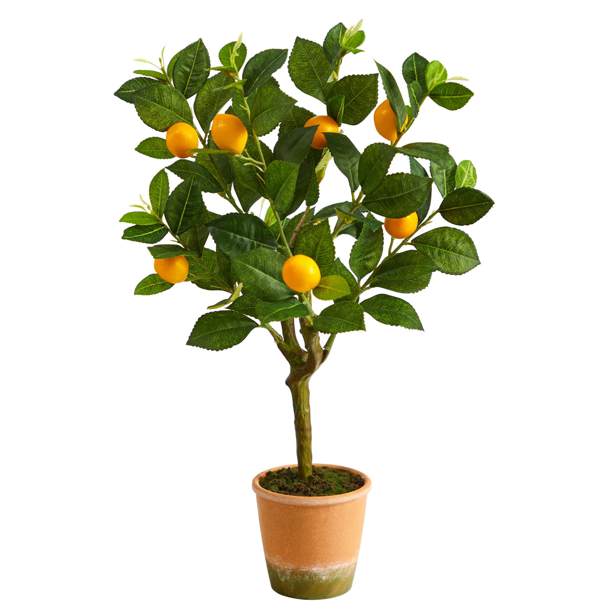 24" Lemon Tree Potted by Nearly Natural