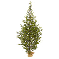 6' Fraser Fir Xmas Tree w/250 LEDs 1243 Tips Burlap Base by Nearly Natural