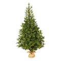 5' Fraser Fir Xmas Tree w/190 LEDs, 1217 Tips, Burlap Base by Nearly Natural