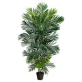 5' Areca Artificial Palm Tree UV Resistant (Indoor/Outdoor) by Nearly Natural