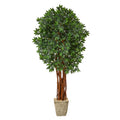 6' Lychee Artificial Tree in Country White Planter by Nearly Natural