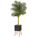 6' Golden Cane Palm Tree in Black Planter with Stand by Nearly Natural