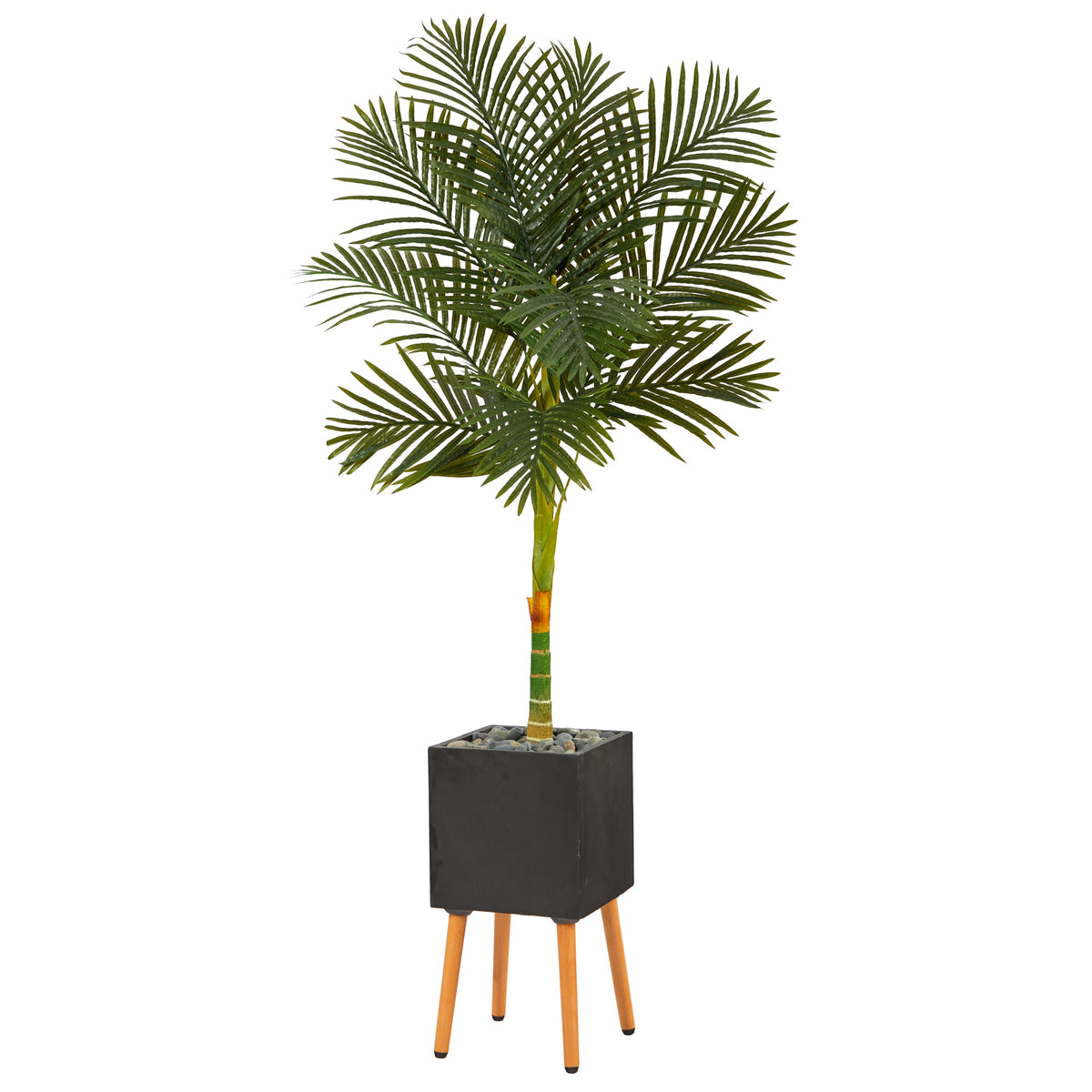 6' Golden Cane Palm Tree in Black Planter with Stand by Nearly Natural