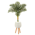4.5' Golden Cane Palm Tree in White Planter with Stand by Nearly Natural