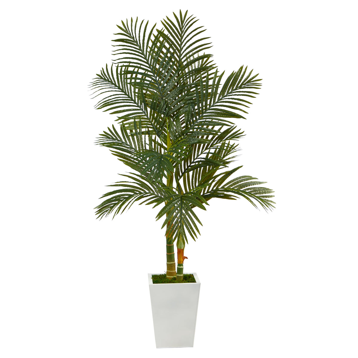 5.5' Golden Cane Artificial Palm Tree in White Metal Planter by Nearly Natural