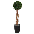 64" English Ivy Topiary Tree in Planter UV (Indoor/Outdoor) by Nearly Natural