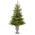 56" North Carolina Spruce Xmas Tree w/100 LEDs in Urn by Nearly Natural