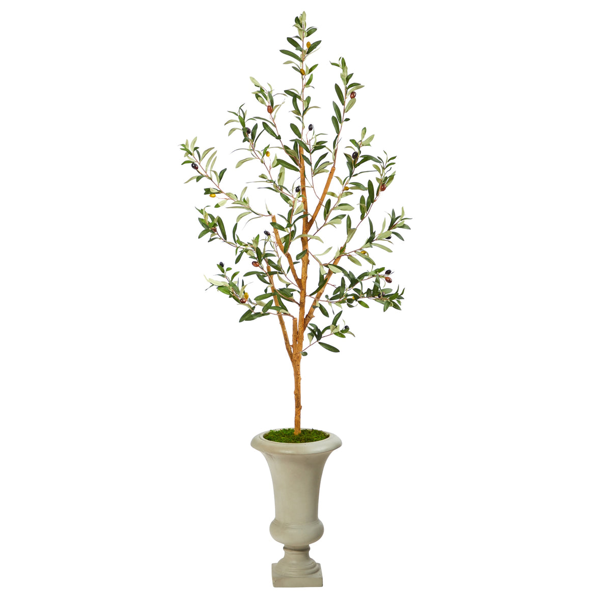 57" Olive Artificial Tree in Sand Colored Urn by Nearly Natural