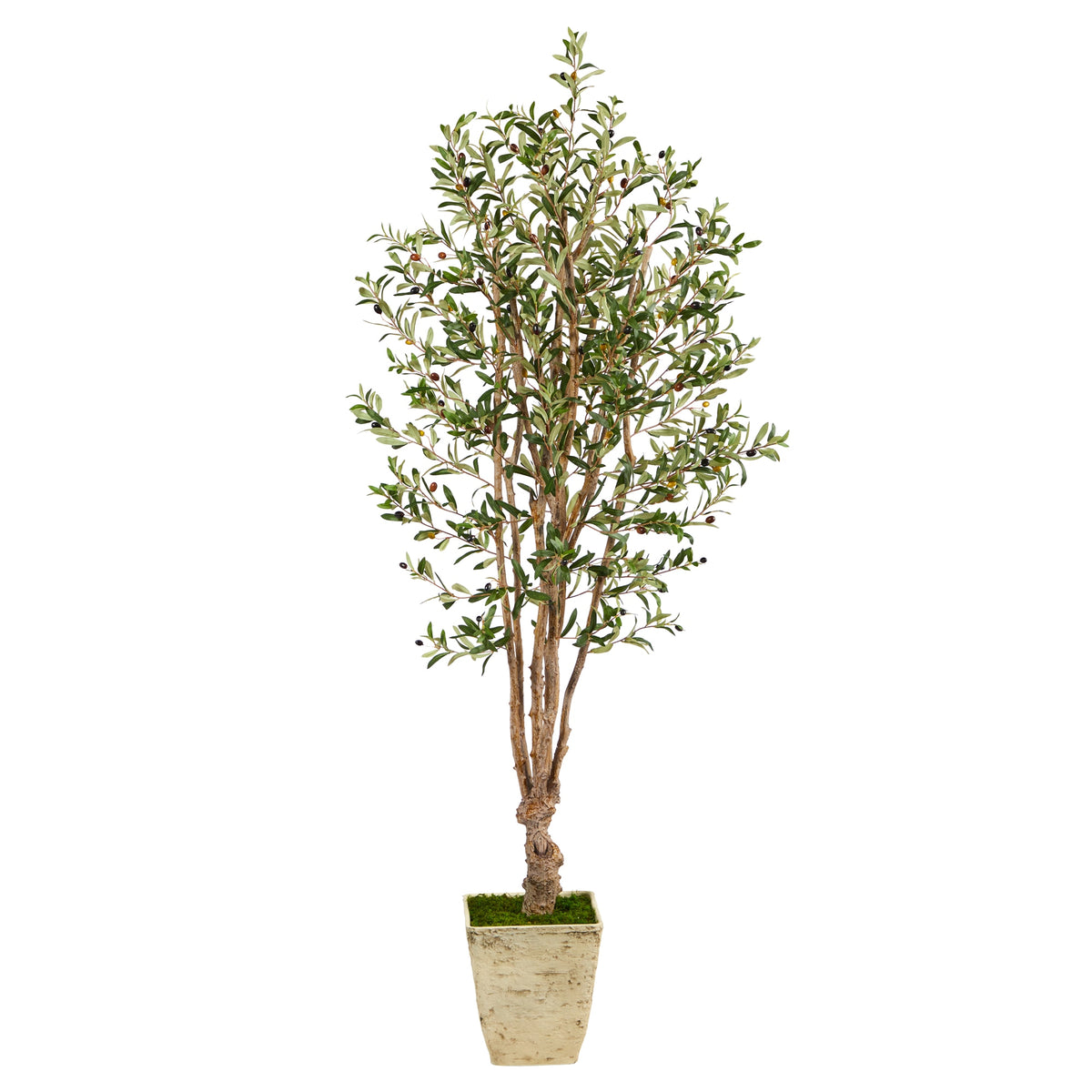6.5' Olive Artificial Tree in Country White Planter by Nearly Natural