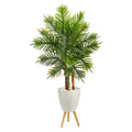 63" Areca Palm Tree in White Planter with Stand (Real Touch) by Nearly Natural