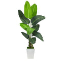 5.5' Travelers Palm Artificial tree in White Metal Planter by Nearly Natural