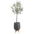 4.5' Olive Artificial Tree in Gray Planter with Stand by Nearly Natural