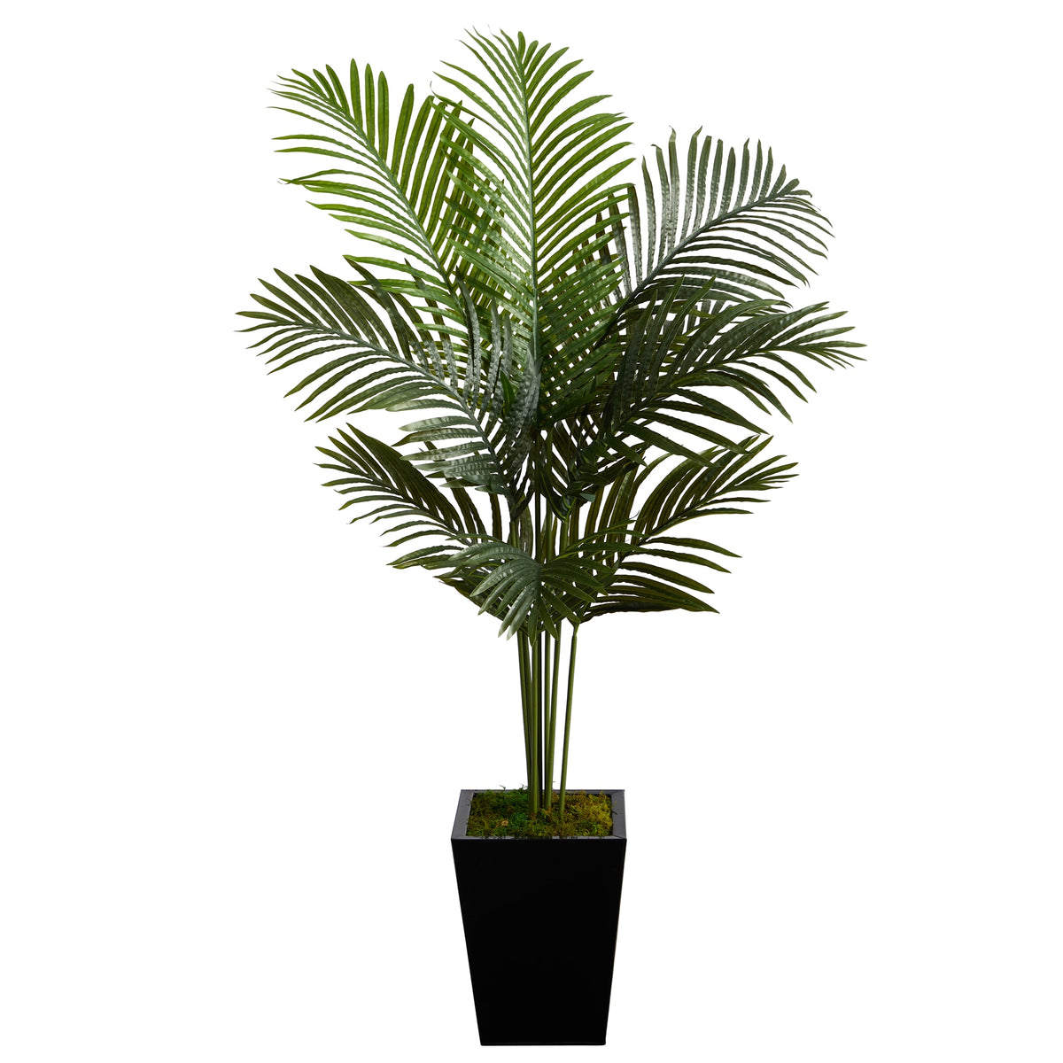 5' Paradise Palm Artificial Tree in Black Metal Planter by Nearly Natural