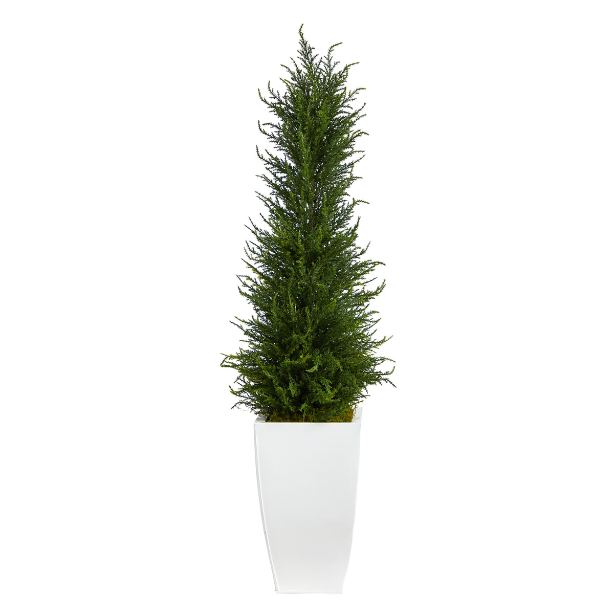 3.5' Cypress Tree in Planter UV Resistant (Indoor/Outdoor) by Nearly Natural