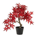 20" Autumn Maple Bonsai by Nearly Natural