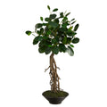 2' Ficus Bonsai Artificial Tree in Decorative Planter by Nearly Natural