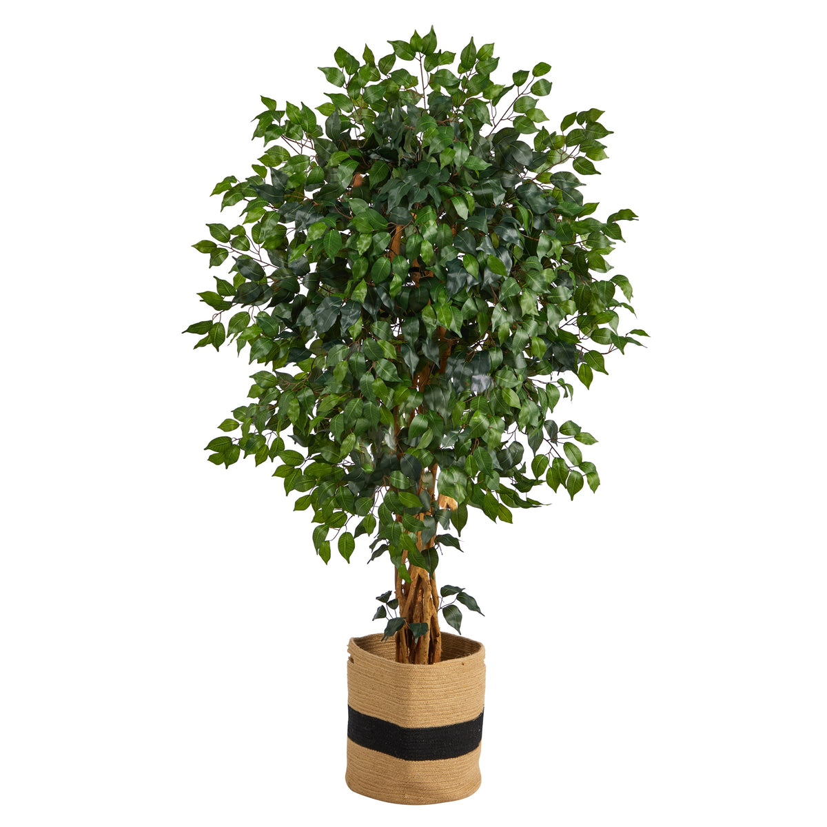 5.5' Palace Ficus Tree in Handmade Natural Cotton Planter by Nearly Natural