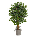 5.5' Ficus Tree in Handmade Black & White Jute Planter by Nearly Natural