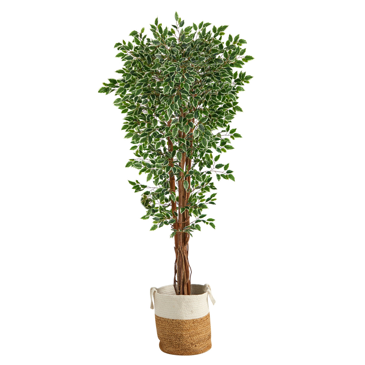 70" Variegated Ficus Tree in Jute Planter UV(Indoor/Outdoor) by Nearly Natural