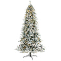 8' Flocked Livingston Fir Christmas Tree 500 Clear LED by Nearly Natural