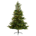 6' North Carolina Spruce Christmas Tree w/631 LEDs by Nearly Natural