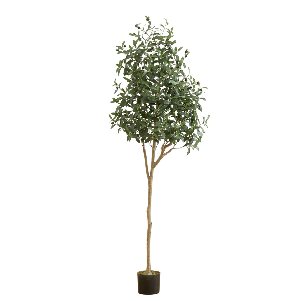 6' Artificial Olive Tree by Nearly Natural in NULL