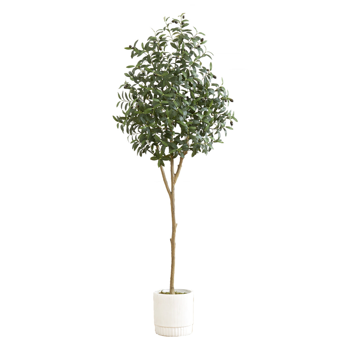 6' Artificial Olive Tree with White Decorative Planter by Nearly Natural in NULL
