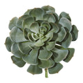 13" Giant Echeveria Succulent Pick l Plant (Set of 2) by Nearly Natural in Green