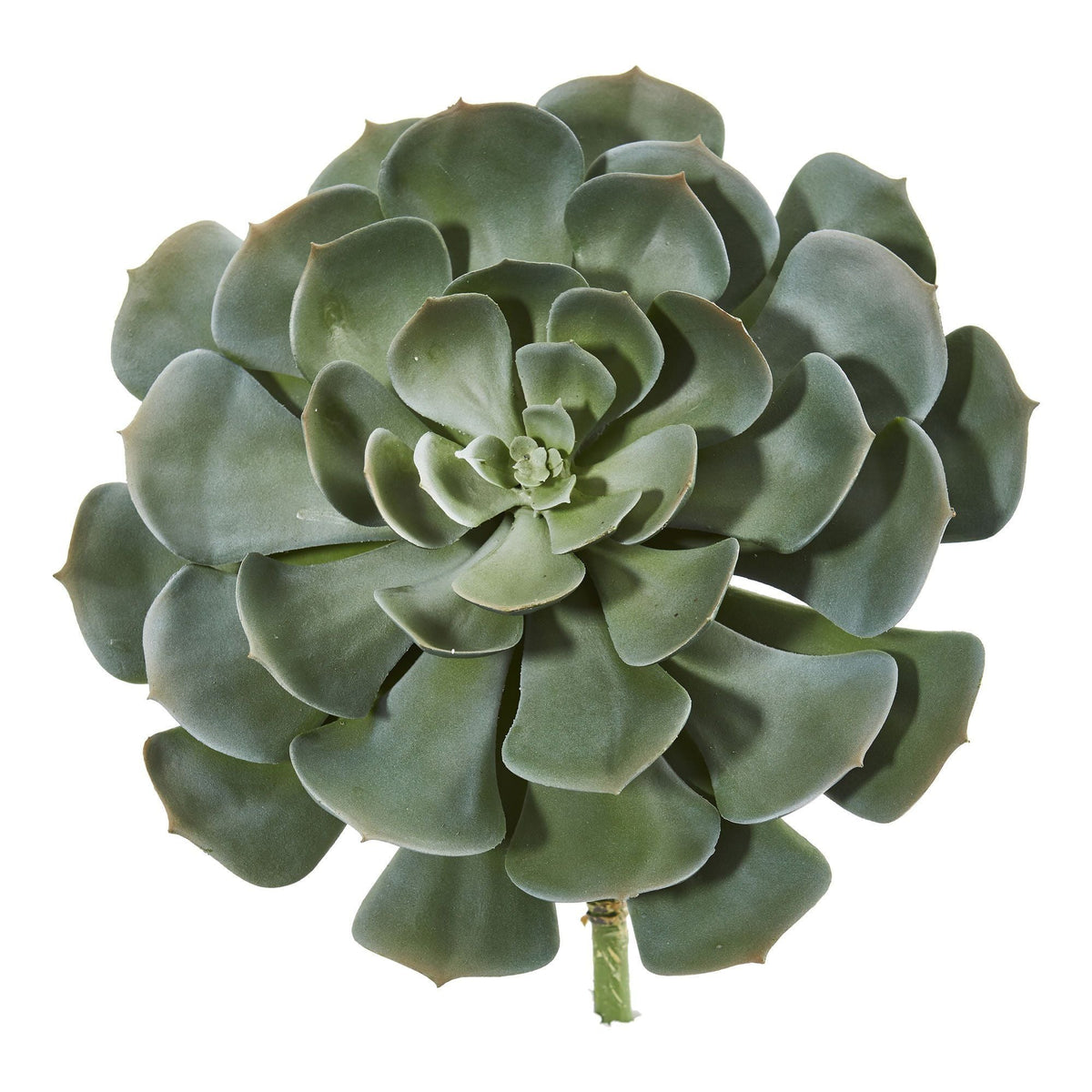 13" Giant Echeveria Succulent Pick l Plant (Set of 2) by Nearly Natural in Green