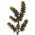 13" Succulent Artificial Flower (Set of 12) by Nearly Natural in Green Burgundy