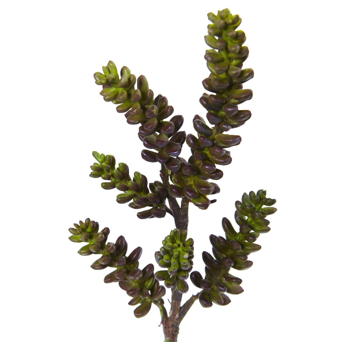 13" Succulent Artificial Flower (Set of 12) by Nearly Natural in Green Burgundy