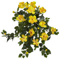 24" Hibiscus Hanging Artificial Plant (Set of 2) by Nearly Natural