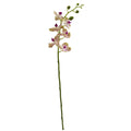 29" Phalaenopsis Orchid Artificial Flower (Set of 4) by Nearly Natural in Raspberry