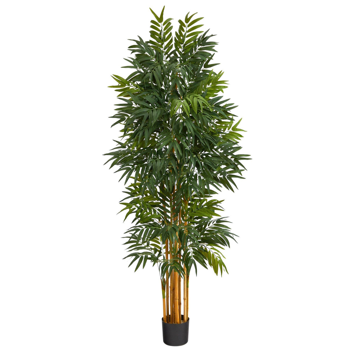 5.5' Phoenix Artificial Palm tree with Natural Trunk by Nearly Natural