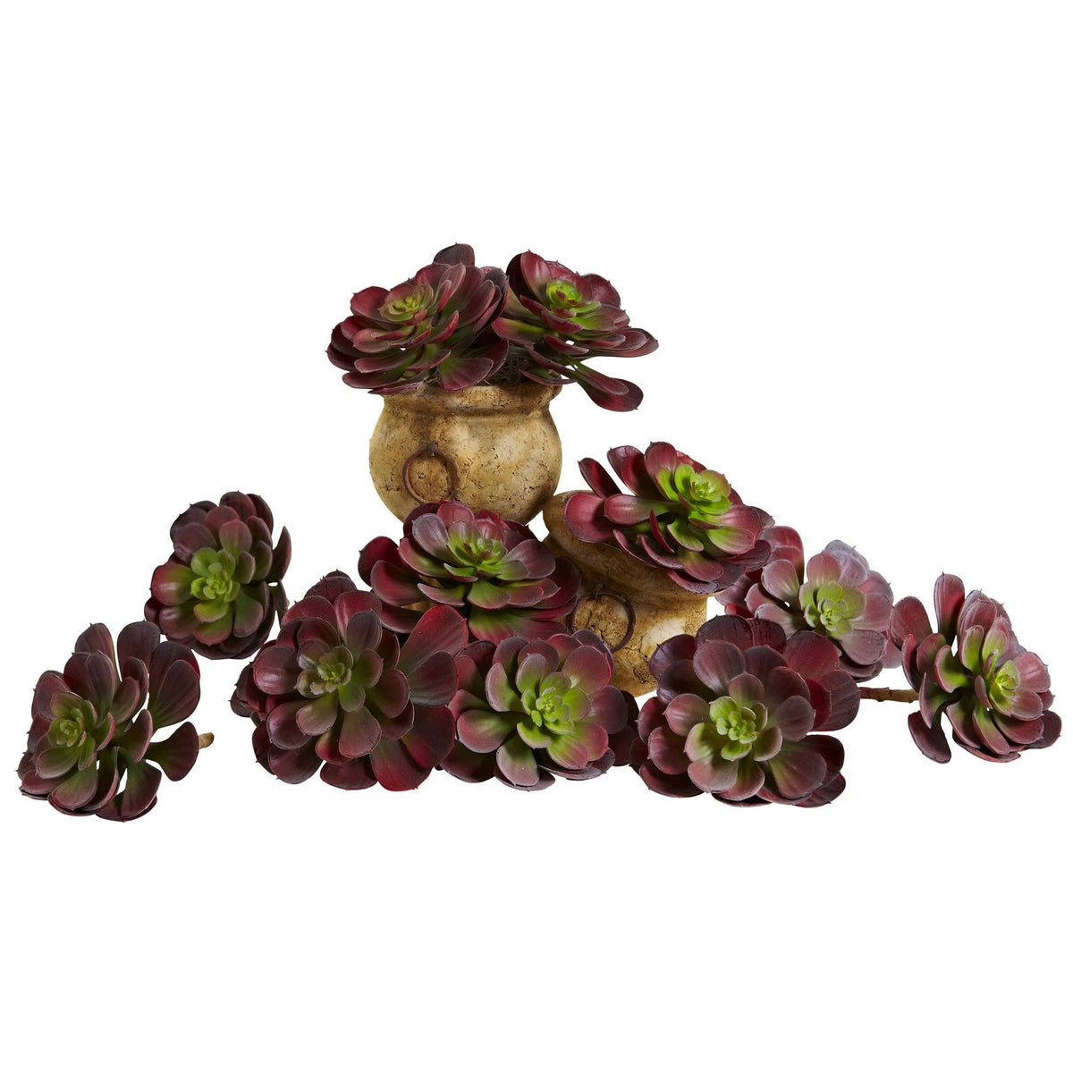 6" Echeveria Succulent (Set of 12) - Burgundy by Nearly Natural in Burgundy