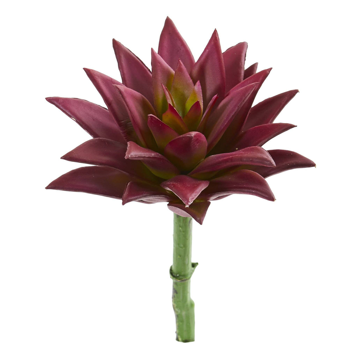 8" Agave Succulent Pick Artificial Plant (Set of 12) by Nearly Natural in Burgundy