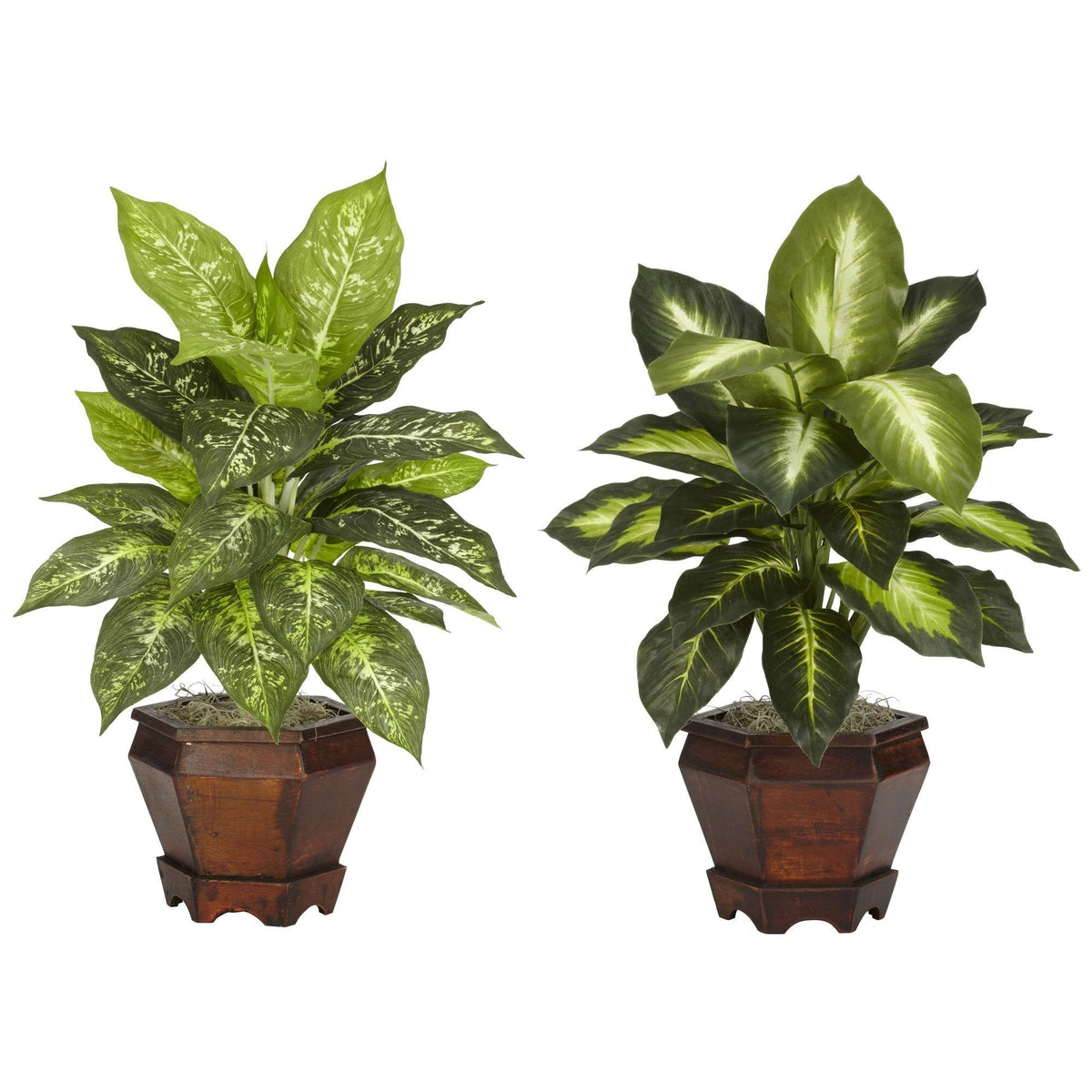 Golden Dieffenbachia w/Wood Vase Silk Plant - Assorted by Nearly Natural in Assorted