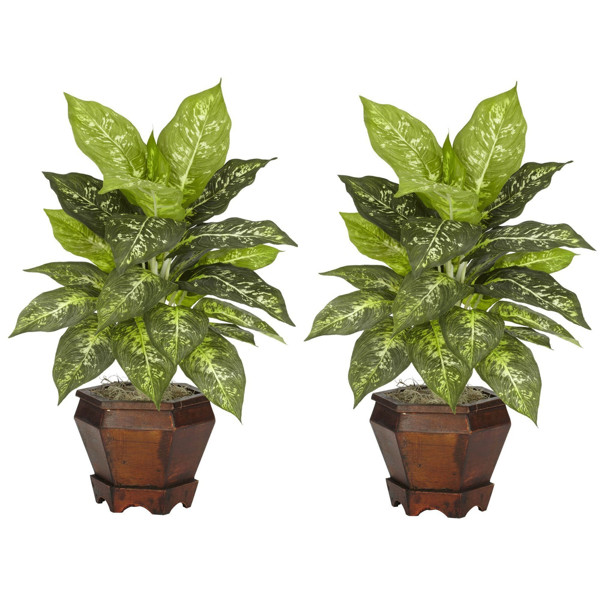 Golden Dieffenbachia w/Wood Vase Silk Plant Variegated by Nearly Natural in Variegated