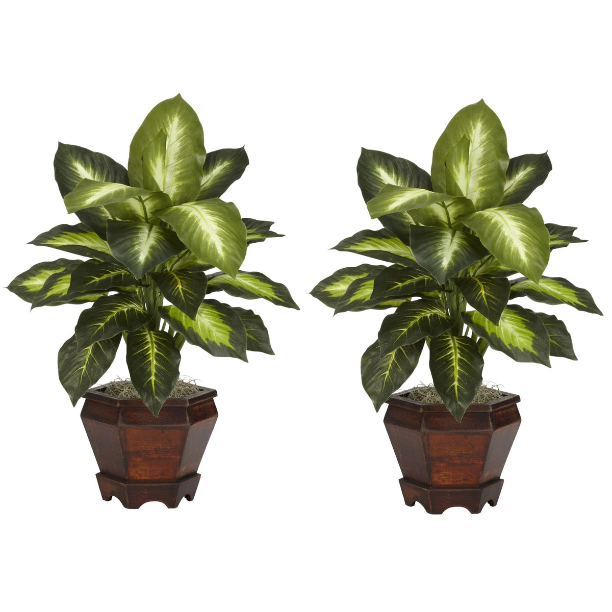 Golden Dieffenbachia w/Wood Vase Silk Plant Gold by Nearly Natural in Golden